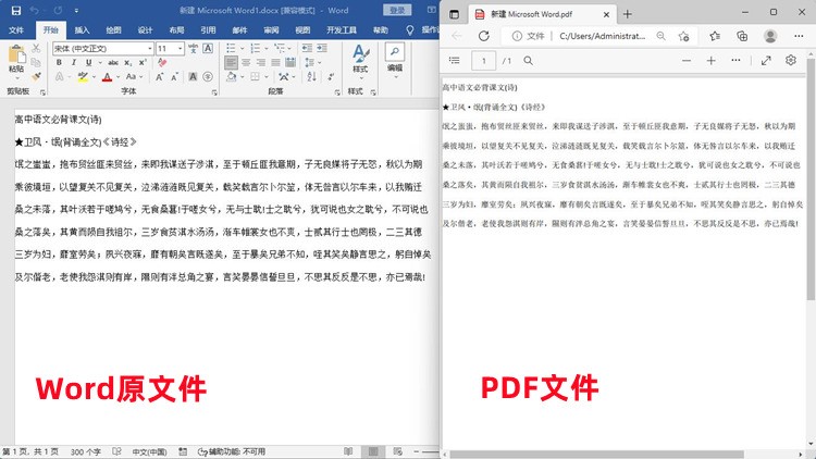 Word转PDF格式的具体操作过程3
